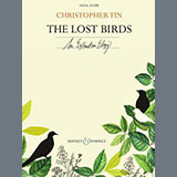 Christopher Tin 'The Lost Birds'