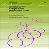 Contorno 'Allegro From Beethoven's Fifth (Movement 1) - Bass Clarinet'