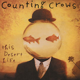 Counting Crows 'Colorblind'