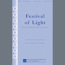 Elaine Broad-Ginsberg Festival Of Light 1581274