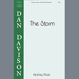 Dan Davidson 'The Storm'
