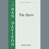 Dan Davison 'The Storm'
