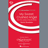Daniel Brewbaker 'My Sweet, Crushed Angel'