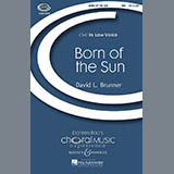 David Brunner 'Born Of The Sun'