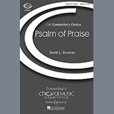 David Brunner 'Psalm Of Praise'