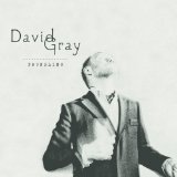 David Gray 'Only The Wine'