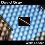 David Gray 'White Ladder'