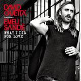 David Guetta 'What I Did For Love (featuring Emeli Sande)'