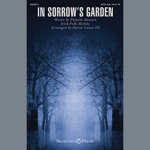 Easily Download David Lantz III Printable PDF piano music notes, guitar tabs for SATB Choir. Transpose or transcribe this score in no time - Learn how to play song progression.