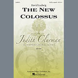 David Ludwig 'The New Colossus'