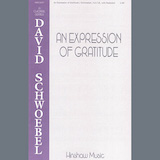 David Schwoebel 'An Expression Of Gratitude'