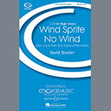 David Stocker 'Wind Sprite/No Wind'