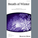 David Waggoner & Greg Gilpin 'Breath Of Winter'