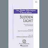 Donna Gartman Schultz 'Sudden Light'