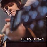Donovan 'Catch The Wind'