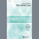 Doug Brandt 'The White Owl'