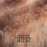Agnes Obel 'Familiar'