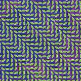 Animal Collective 'My Girls'