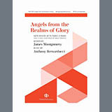 Anthony Bernarducci 'Angels From The Realms Of Glory'