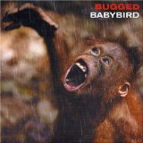 Babybird 'Fireflies'