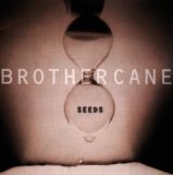 Brother Cane 'And Fools Shine On'