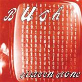 Bush 'Glycerine'