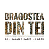 Dan Balan 'Dragostea Din Tei'