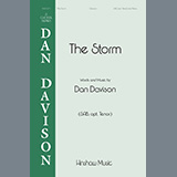 Dan Davison 'The Storm'