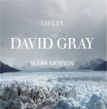 David Gray 'From Here You Can Almost See The Sea'