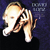 David Lanz 'The Visitor'