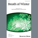 David Waggoner and Greg Gilpin 'Breath Of Winter'