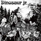 Dinosaur Jr. 'Forget The Swan'