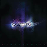 Evanescence 'What You Want'
