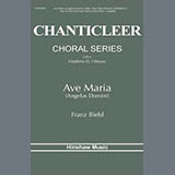 Franz Biebl 'Ave Maria'