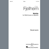 Frode Fjellheim 'Njoktje'