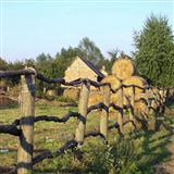 Hungarian Folksong 'Magasan Repul A Daru (Hungaria's Treasure)'