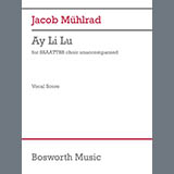 Jacob Mühlrad 'Ay Li Lu'