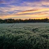 Jane M. Campbell 'We Plow The Fields And Scatter'