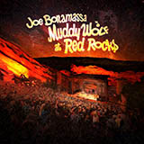 Joe Bonamassa 'Evil (Is Going On)'