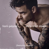 Liam Payne 'Strip That Down (feat. Quavo)'