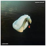 Ludovico Einaudi 'Indian Yellow'
