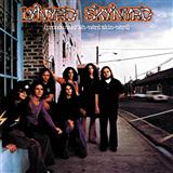 Lynyrd Skynyrd 'Simple Man'