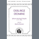 Martin Banner 'Exsurge Domine'