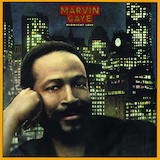 Marvin Gaye 'Sexual Healing'