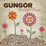 Michael Gungor 'Beautiful Things'