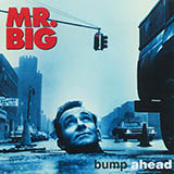 Mr. Big 'Colorado Bulldog'