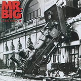 Mr. Big 'Green Tinted Sixties Mind'