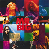 Mr. Big 'Seven Impossible Days'