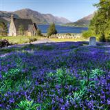 Traditional 'The Bluebells Of Scotland'