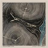 NEEDTOBREATHE 'Brother'